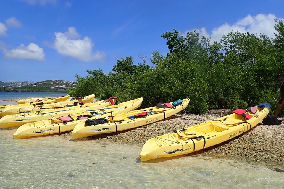 Yellow kayaks lying on shore